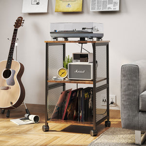 Vinyl Record Storage Table