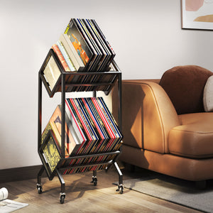 Movable Vinyl Record Rack